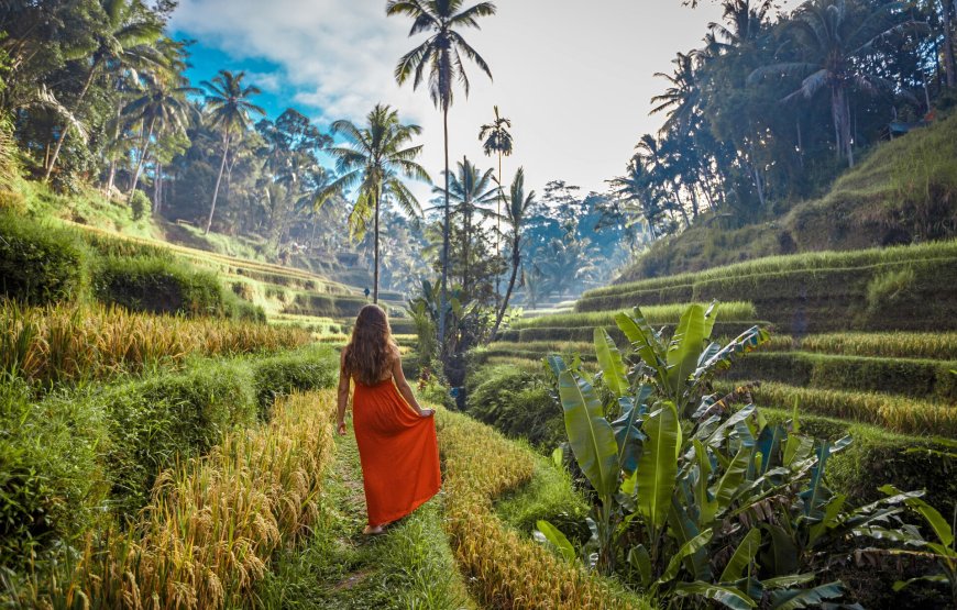 7 Nights in Bali with Breakfast
