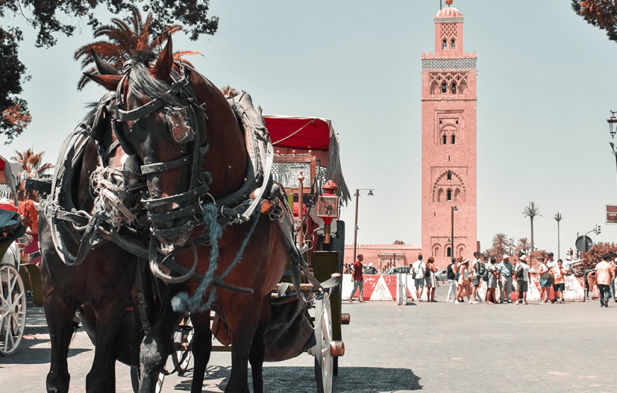 3 Nights in Marrakech from £199pp